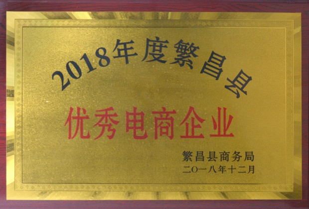 2018-繁昌縣-優(yōu)秀電商企業(yè).jpg