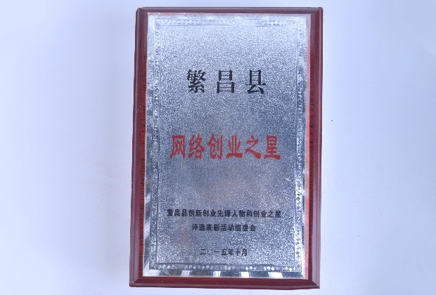 2015 繁昌縣 網(wǎng)絡(luò)創(chuàng)業(yè)之星.jpg