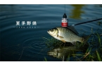 夏季野釣鯽魚(yú)有啥秘訣？答案驚人！