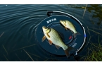 想在夏季野釣鯽魚(yú)大豐收？不看這些技巧就虧