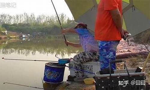 黑坑正釣和偷驢餌料味型的變化過程對比(黑坑正釣和偷驢的區(qū)別)