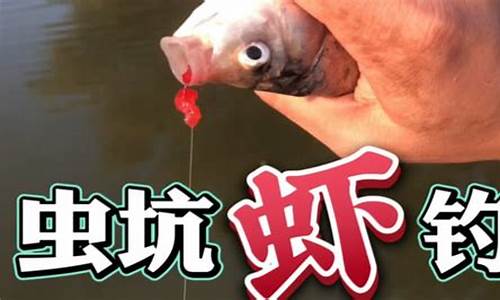 黑坑鯽魚(yú)偷驢釣法規(guī)則詳解最新(釣黑坑偷驢技巧)