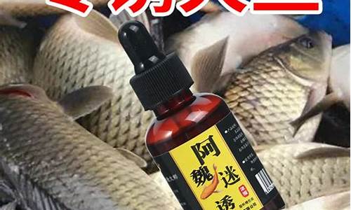 釣魚小藥一般什么牌子的好(釣魚小藥一般什么牌子的好用)(pic1)
